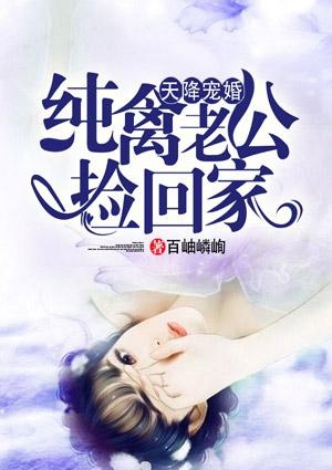 天降宠婚纯禽老公捡回家免费阅读