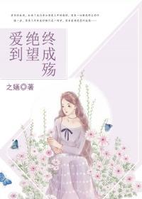 爱到绝望终成殇姜婷免费阅读