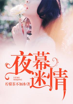 夜幕迷情推荐