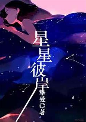 星星的彼岸是什么意思