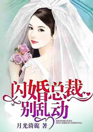 总裁闪婚你别追