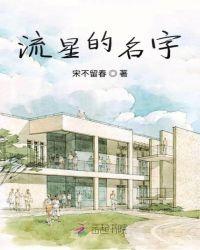 最有名的流星叫什么名字