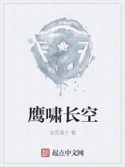 鹰啸长空成语