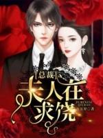 总裁夫人来自农村32集