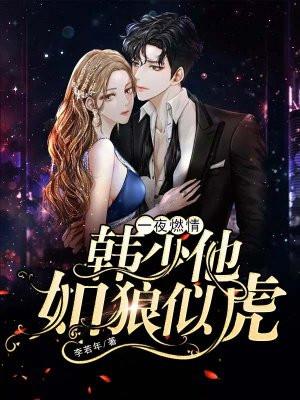 一夜燃情韩少他如狼似虎txt百度