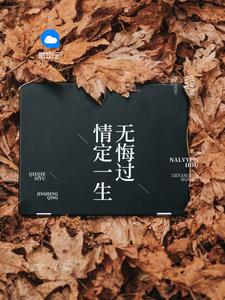 沈蔓歌叶南弦免费阅读835章