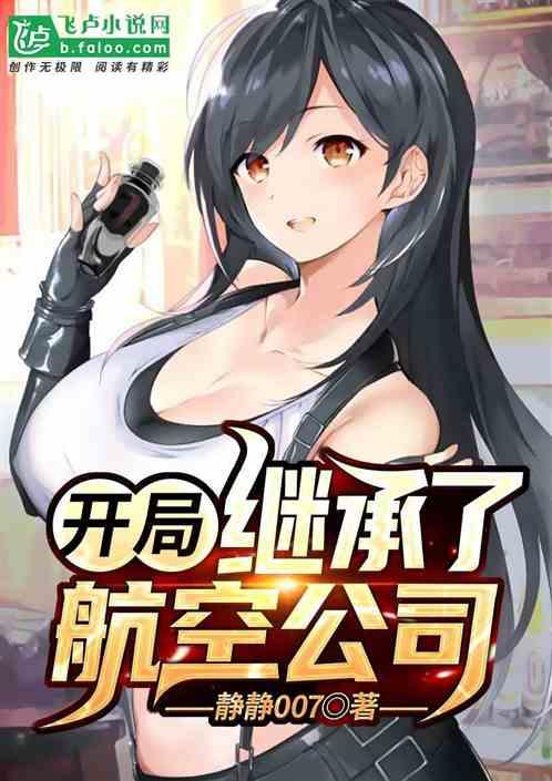 开局继承了航空公司起点