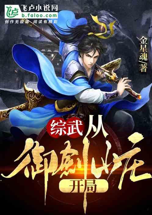 综武从御剑山庄开局一品侠