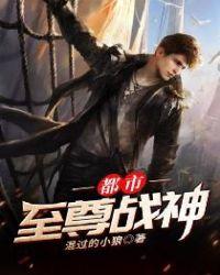 都市至尊战神沈天君