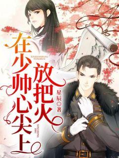 少帅心尖宠全文免费阅读