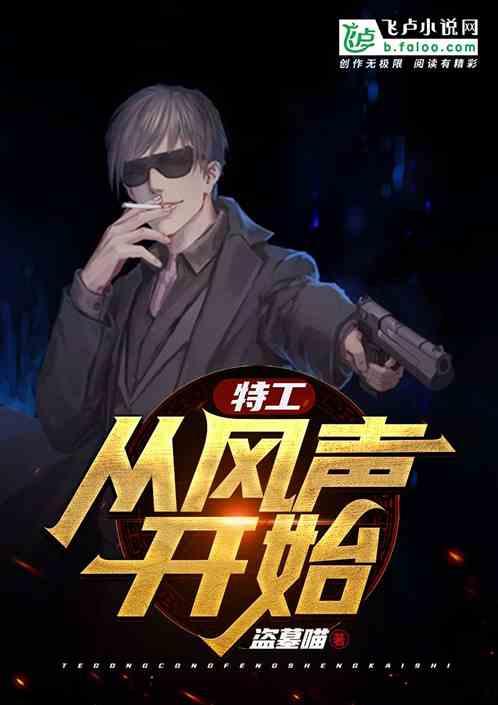 特工从风声开始盗墓喵
