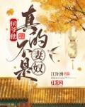 书名侯爷他是重生的 作者严宴