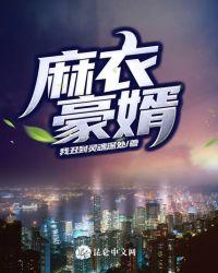麻衣神婿520