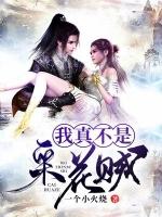 我真不是采花贼笔gl趣阁免费阅读