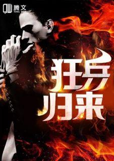 狂兵归来陈奇