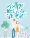 闪婚小甜妻狼性大叔花式宠免费阅读