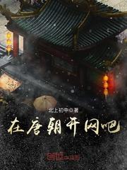 在唐朝开网吧 txt