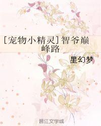 宠物小精灵智爷巅峰路TXT
