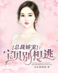霸道总裁宝贝别想逃