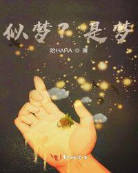 似梦是梦不是梦什么意思