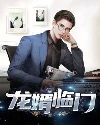 龙婿临门 小霸王