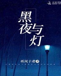 黑夜与灯光的抒情诗句