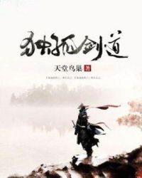剑道独尊独孤绝