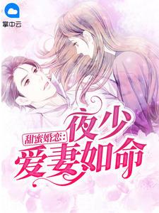 甜蜜婚恋夜少爱妻如命全文免费阅读结局篇