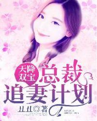 龙凤双宝总裁追妻令