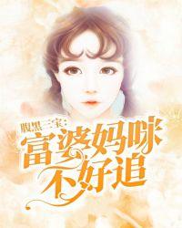 腹黑三宝富婆妈咪不好追又叫什么名字