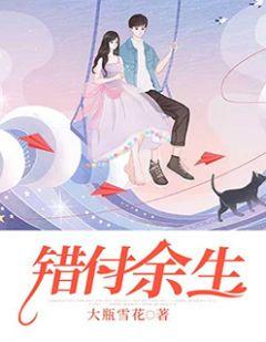 陆言深 苏晚晚舒悦错付余生