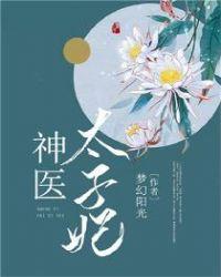 神医太子妃雪落无痕