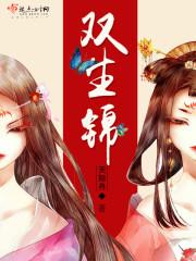 双生锦讲的什么