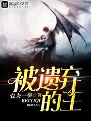 海贼之爆炸艺术 农夫一拳