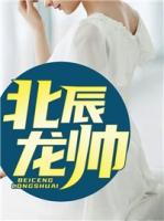 北辰龙帅叶北辰