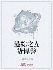港综之A货悍警 大魏招雷术