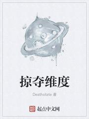 掠夺维度起点