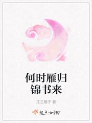 何时燕归来共多少章