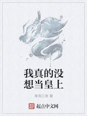 我真没想当皇上