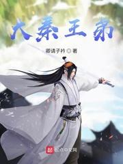 大秦王上顺序表