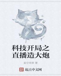 科技之开局直播造火箭顶点