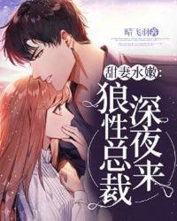 强宠狼性总裁夜里