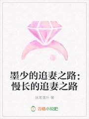 墨少漫漫追妻路