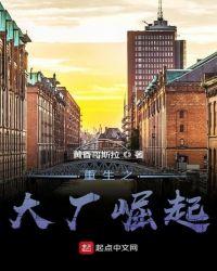 重生之大厂崛起笔趣阁