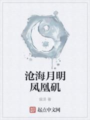 沧海月明是啥意思