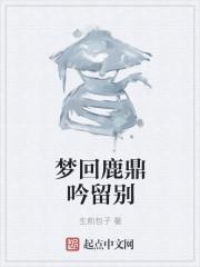 梦回鹿鼎记阅读