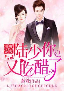 陆少甜蜜宠妻陆琛