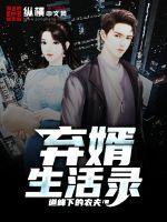 弃婿什么意思
