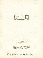 枕上书是什么意思