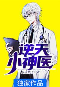 逆天小神医李枫